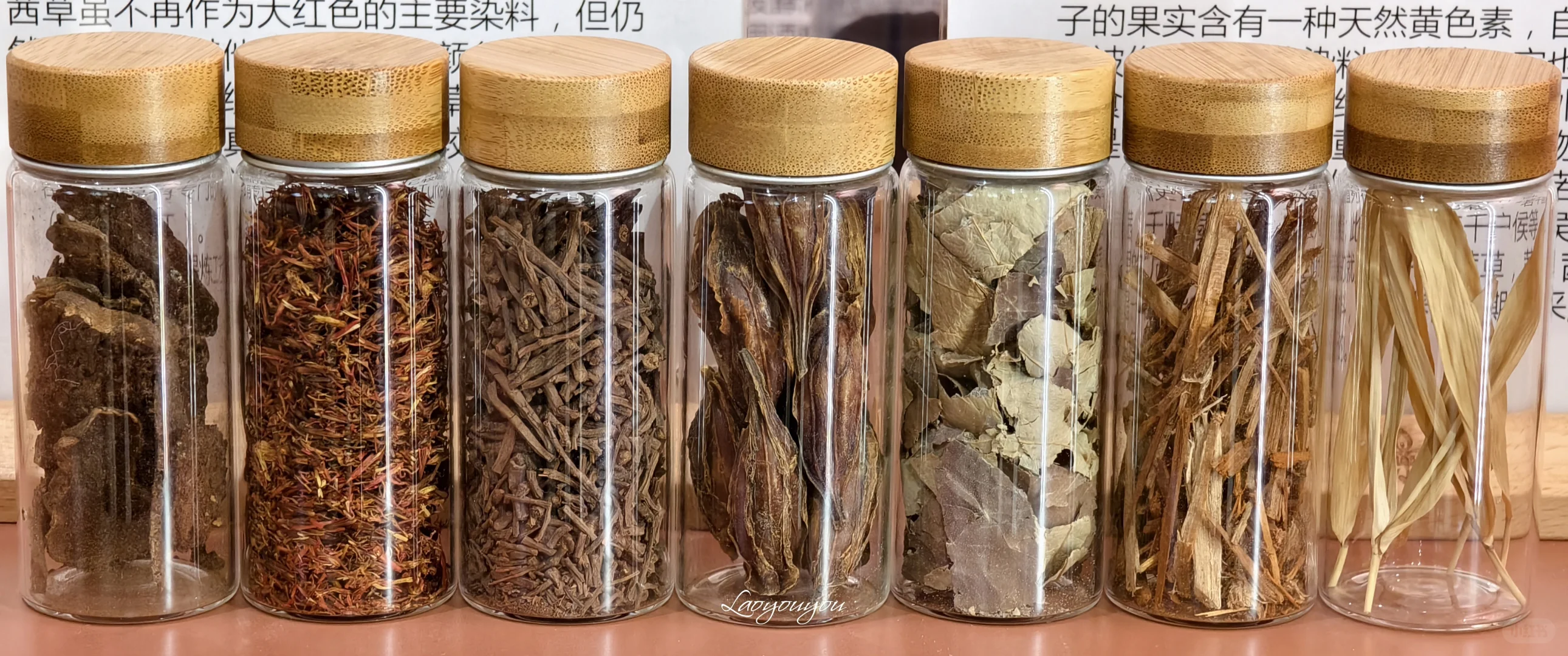 丝路花雨丝路服饰传承与植物染色创新展