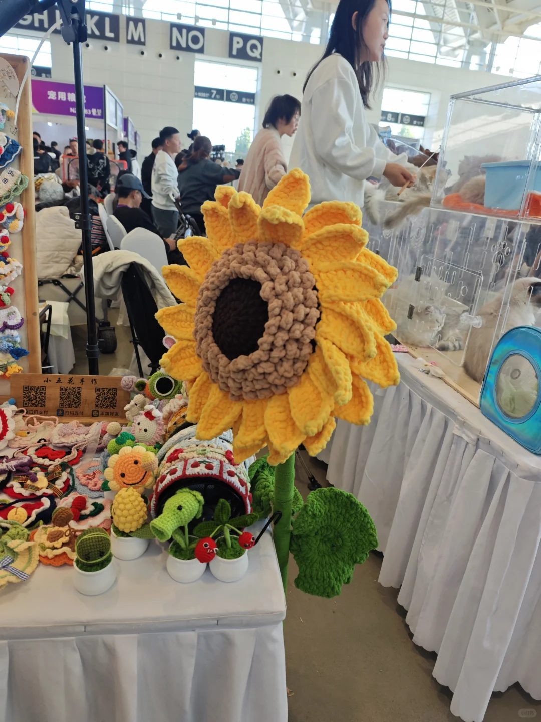 感觉今天天津一半人在国展