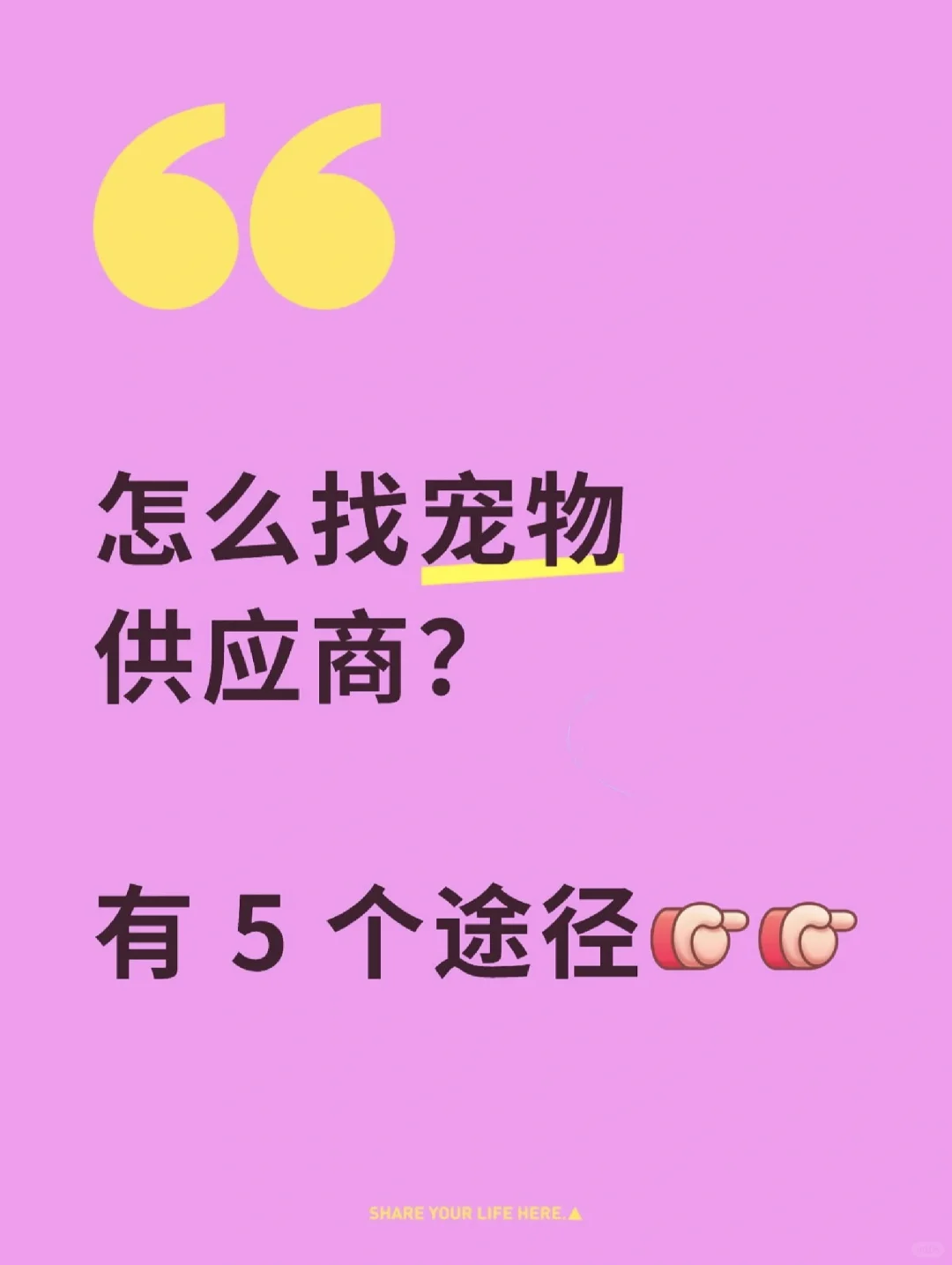 你们是怎么找宠物供应商货源?