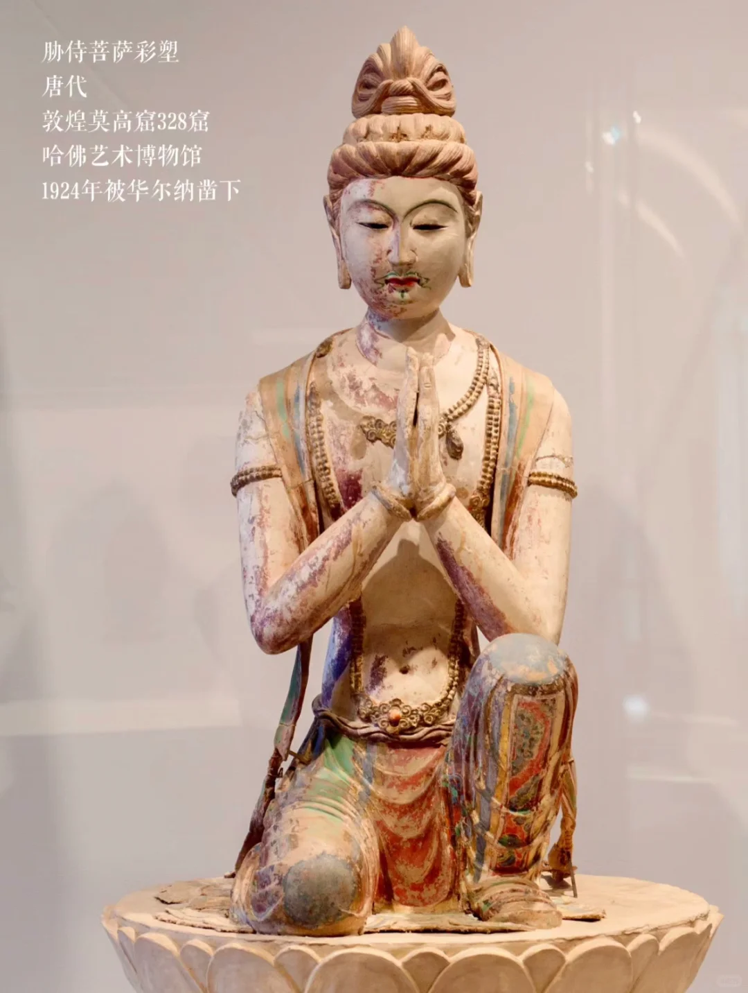 哈佛大学艺术博物馆参观指南