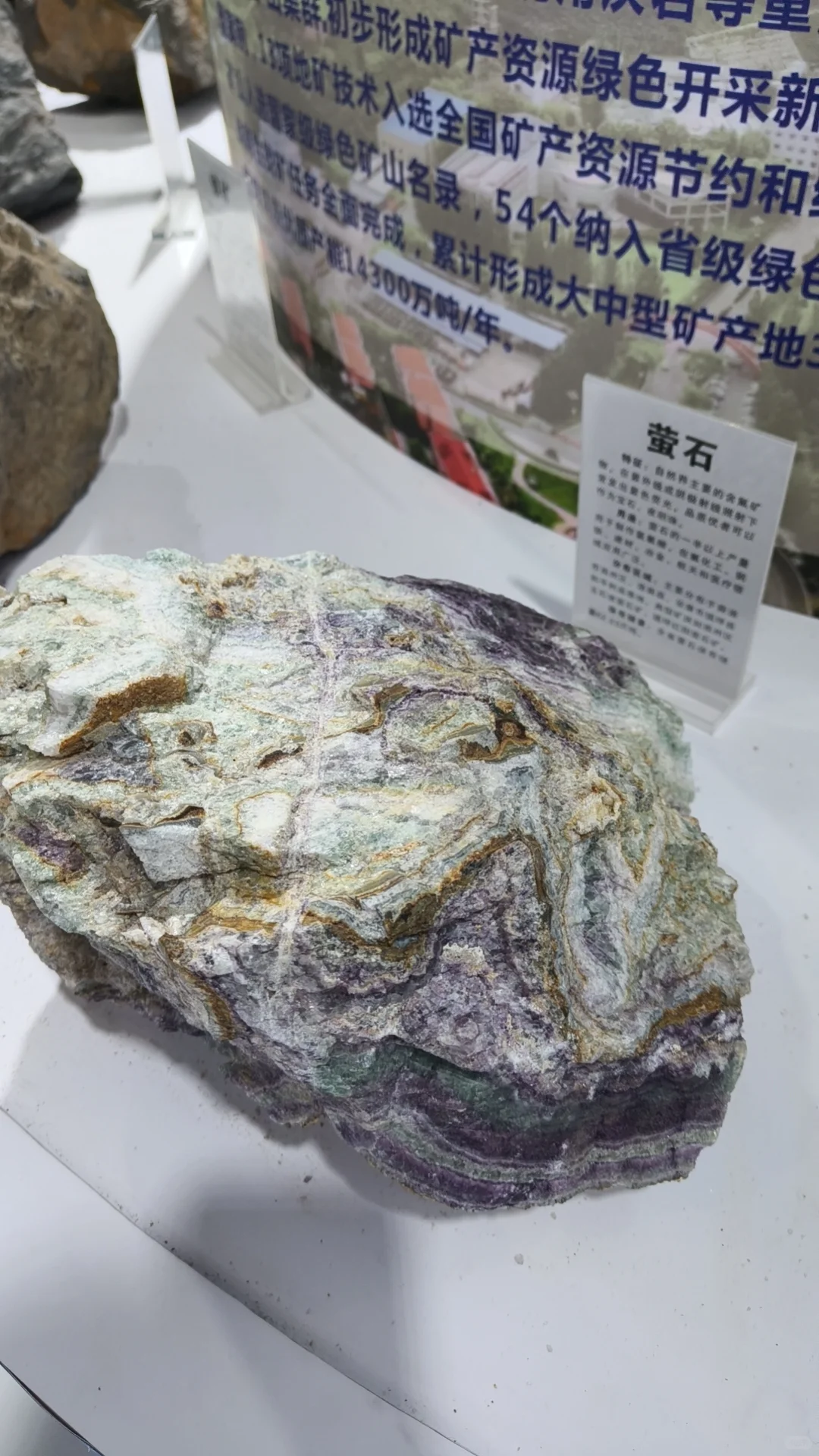 杨凌农高会的奇妙之旅 ?
