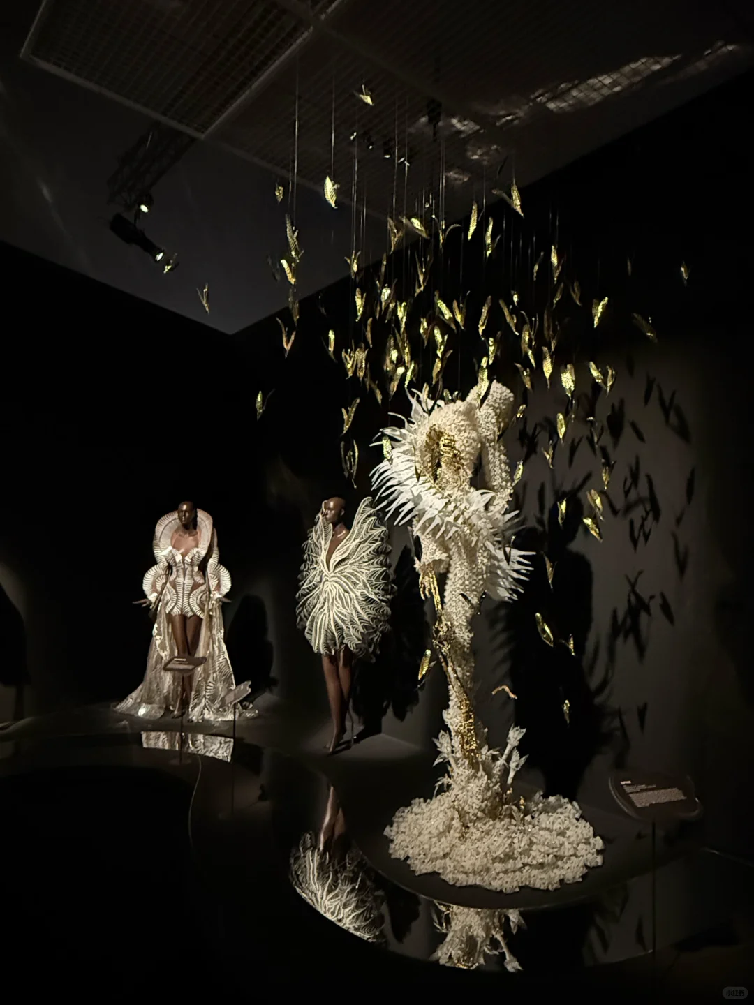 新加坡看展/ Iris van Herpen