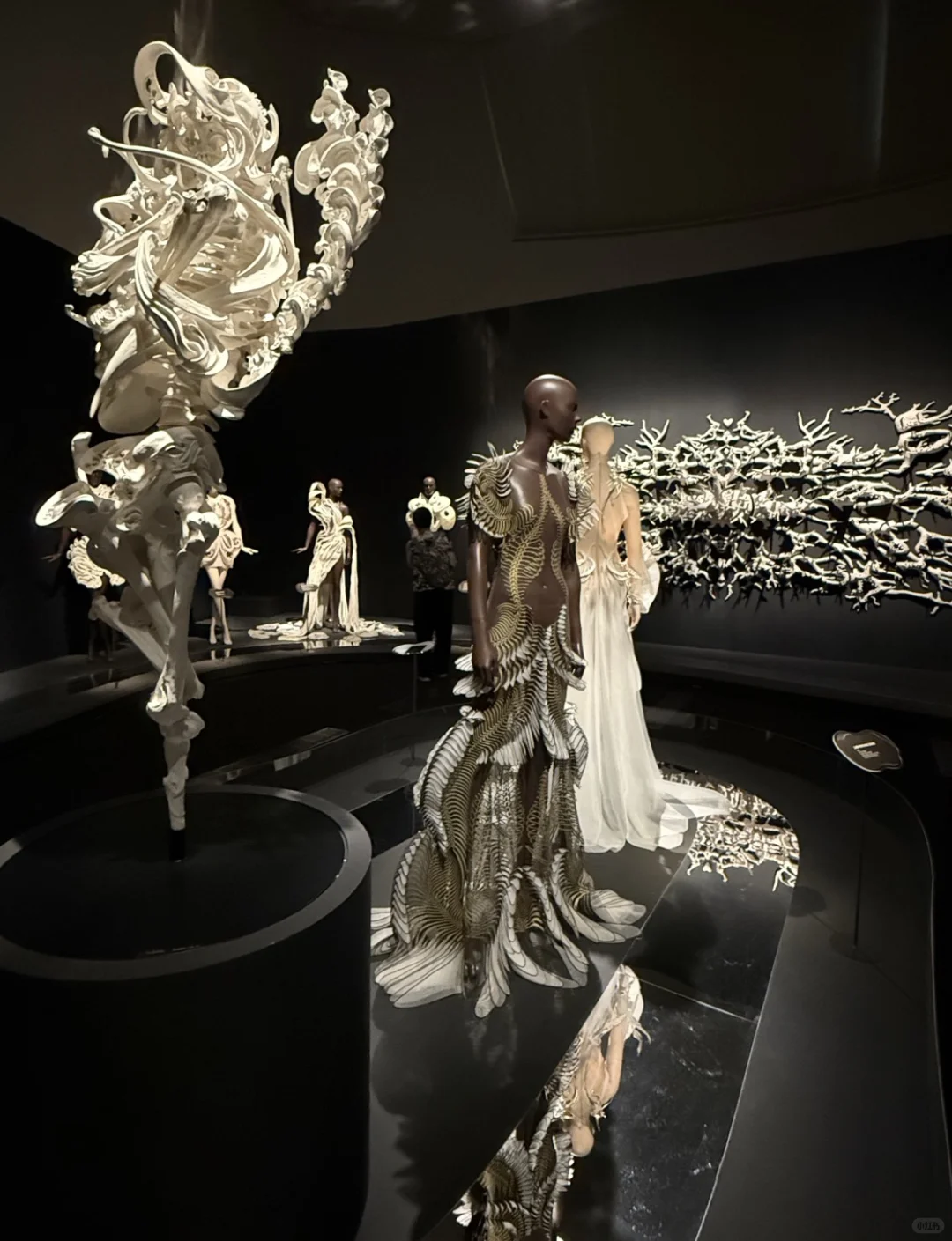 新加坡看展/ Iris van Herpen