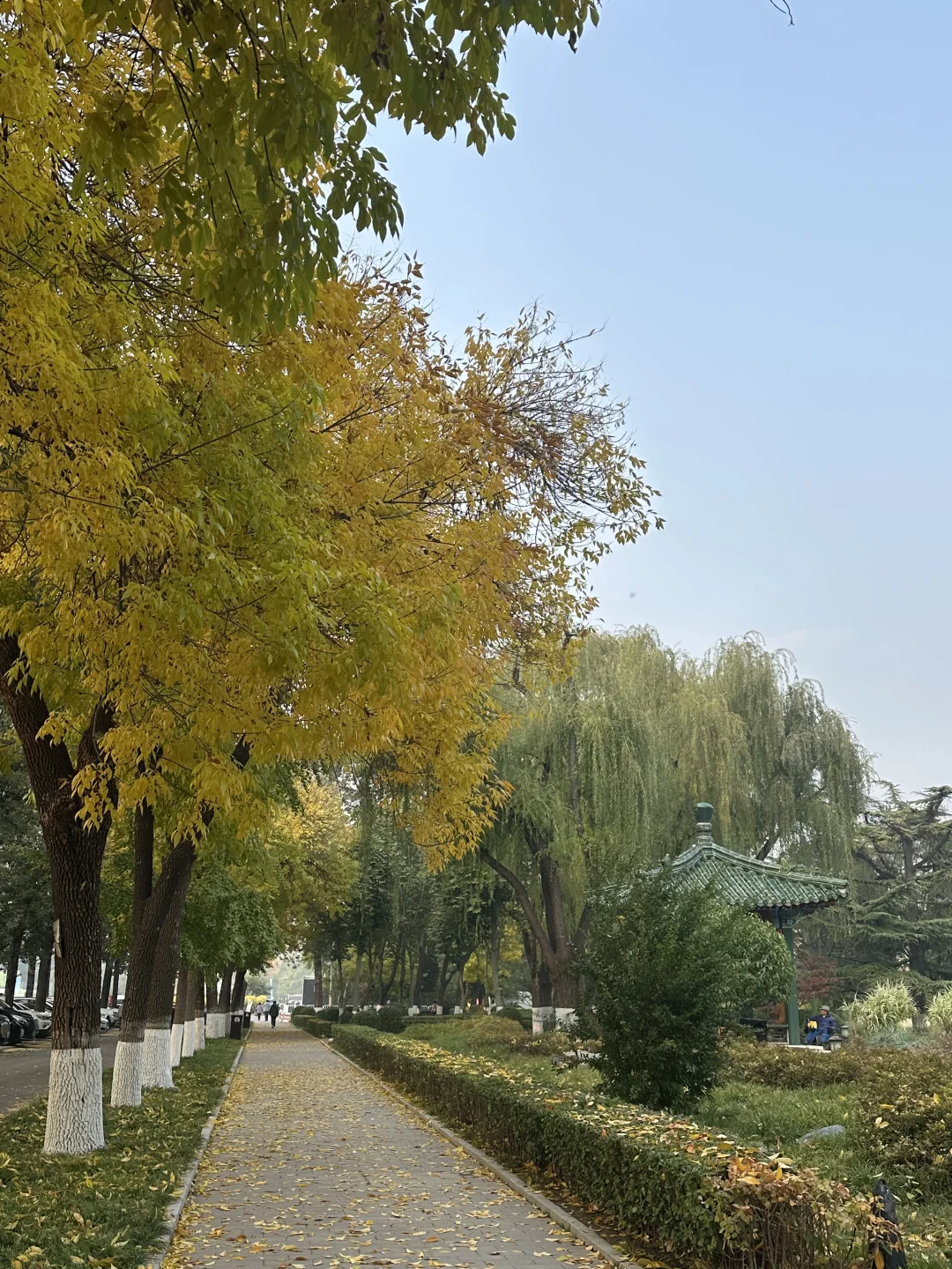 新疆农产品北京交易会，值得来逛一次！
