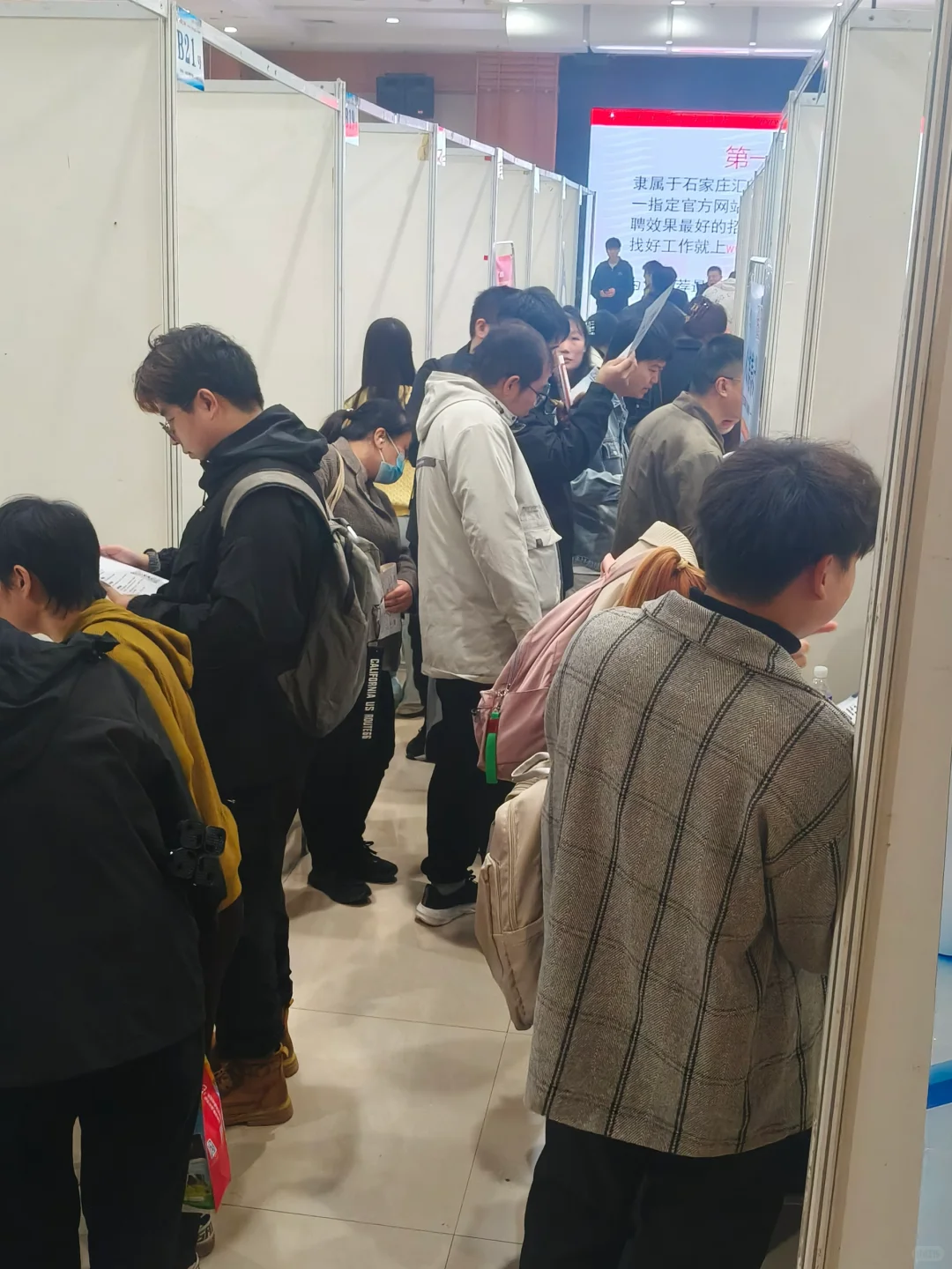 11月2日河北省秋季大型招聘会，现场见
