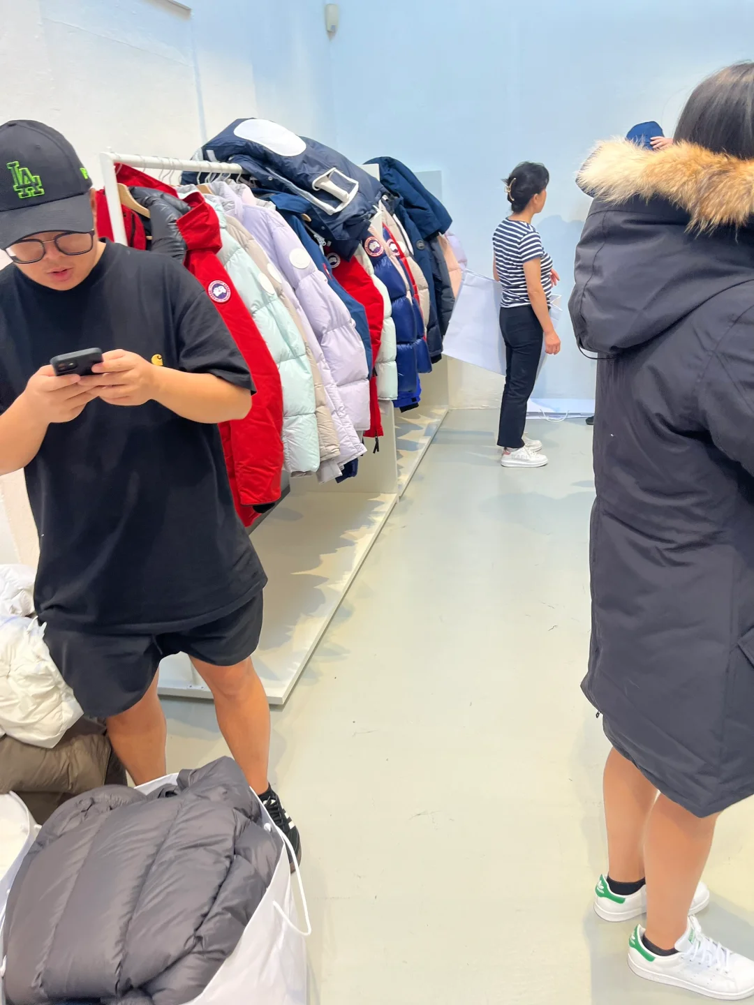 米兰加拿大鹅展销会