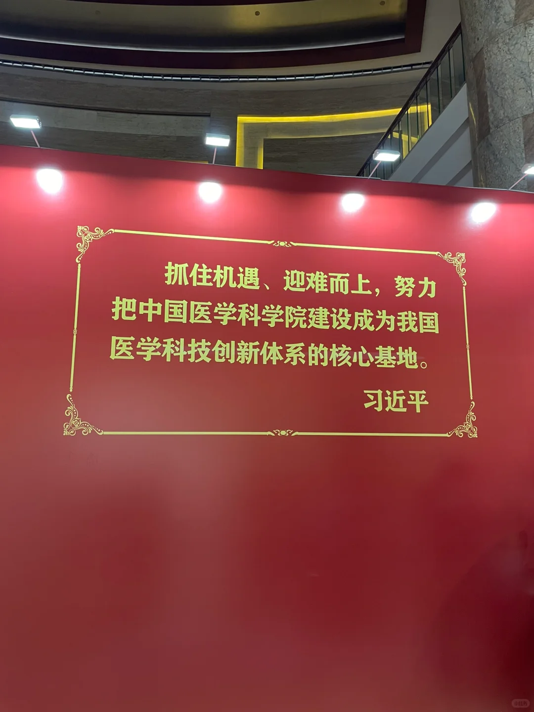 前几天的中国医学发展大会
