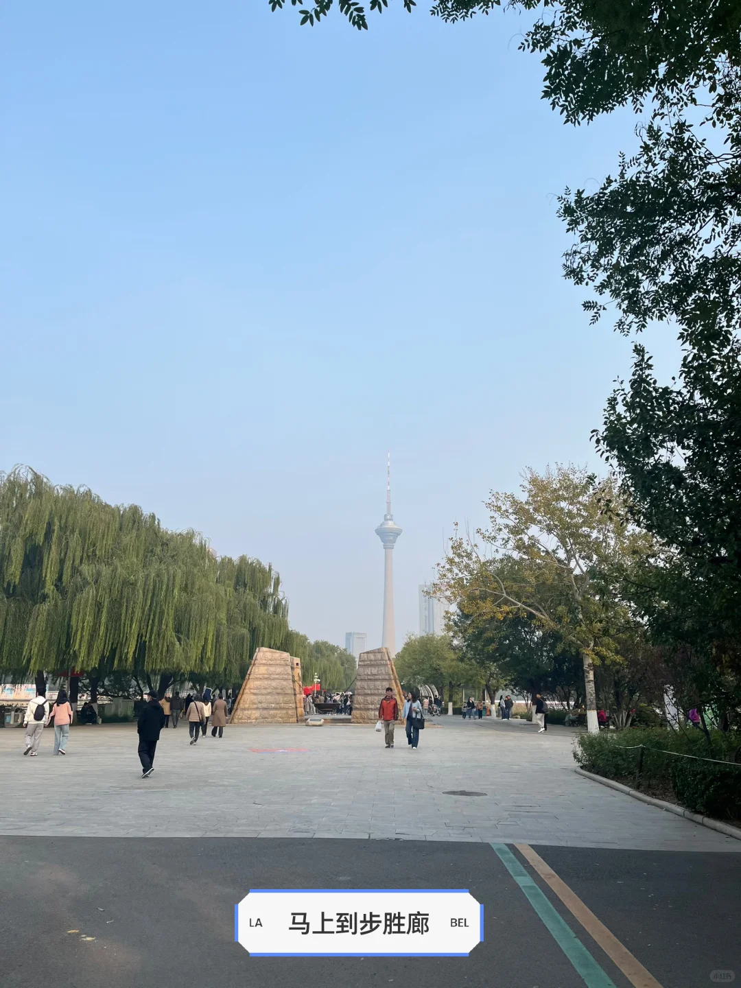 来看看水上公园菊花展,免费?