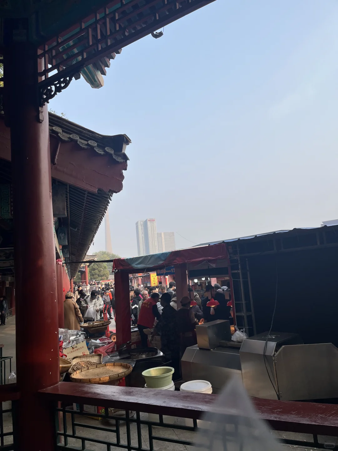 来看看水上公园菊花展,免费?