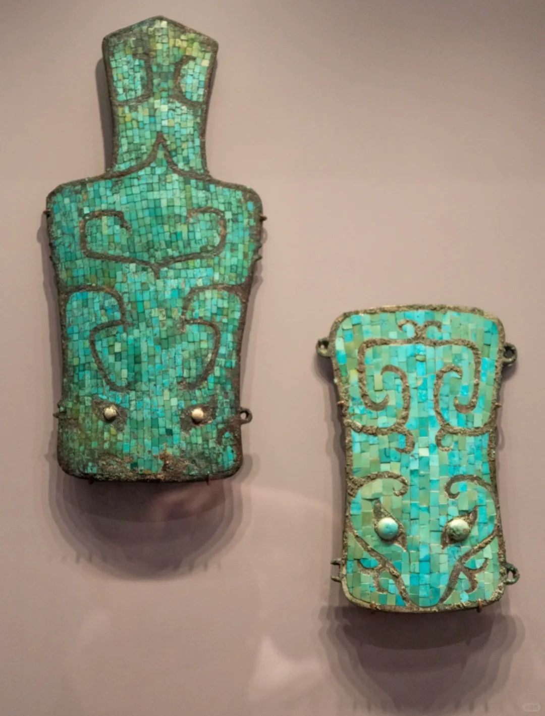 哈佛大学艺术博物馆参观指南