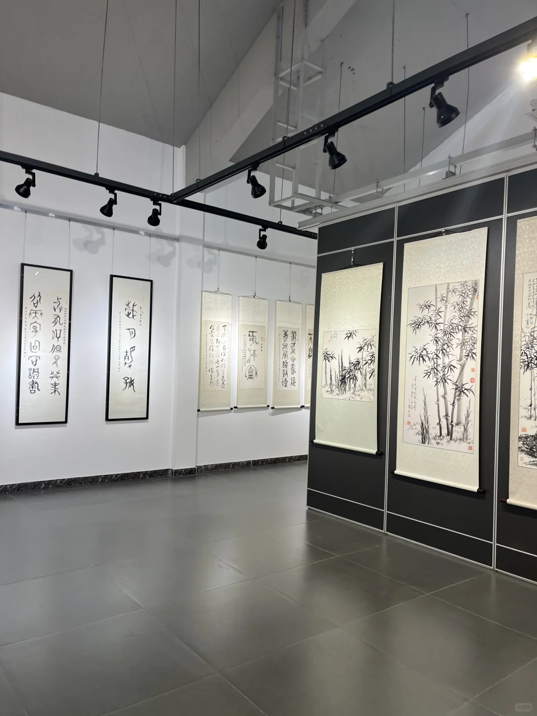 来看看水上公园菊花展,免费?