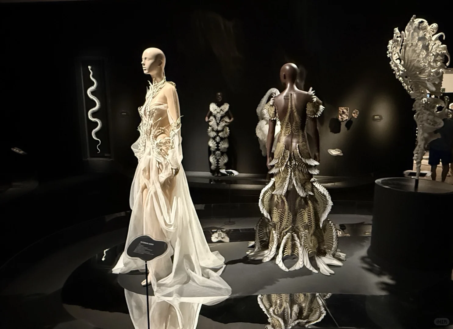 新加坡看展/ Iris van Herpen