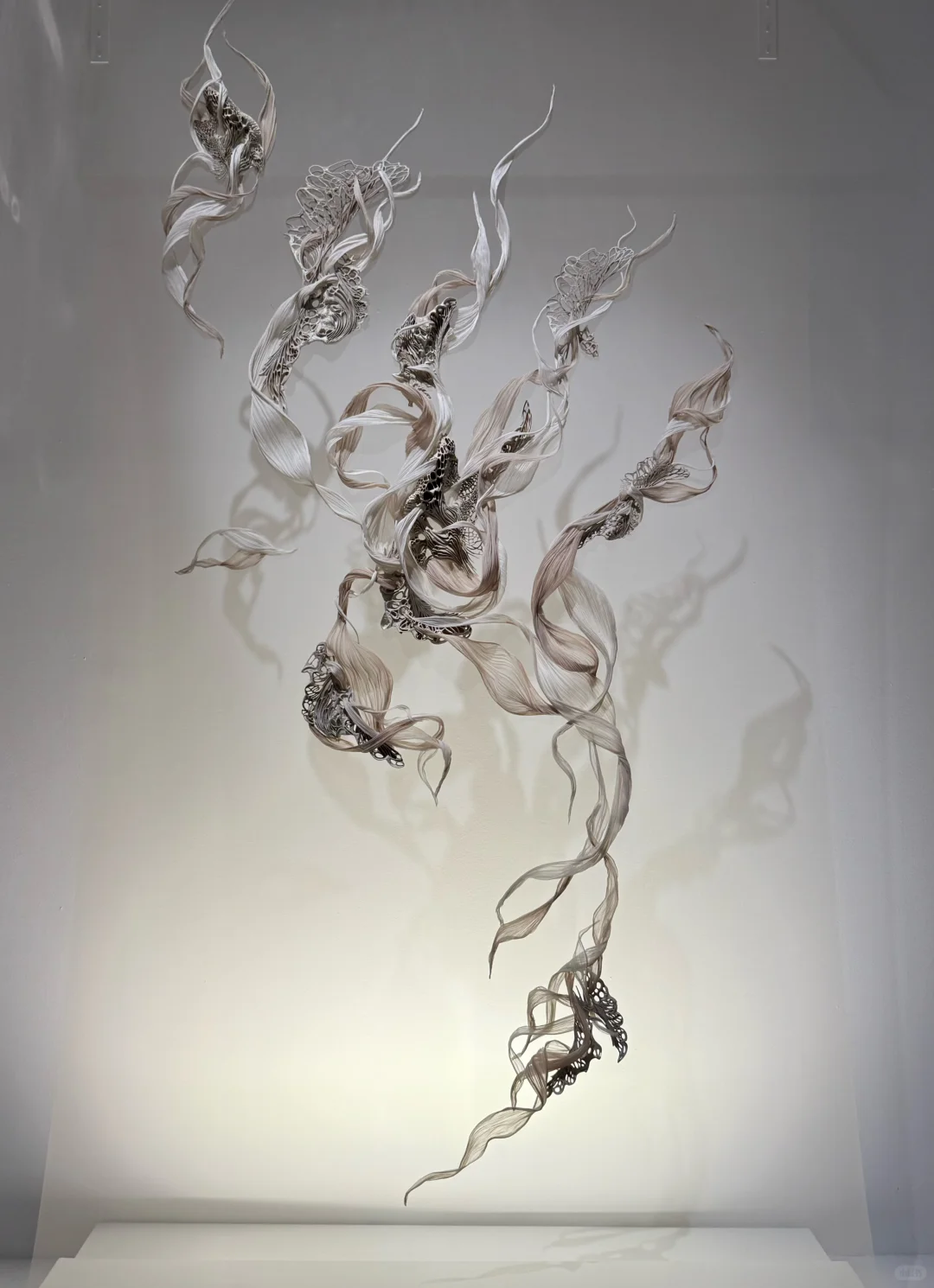 新加坡看展/ Iris van Herpen