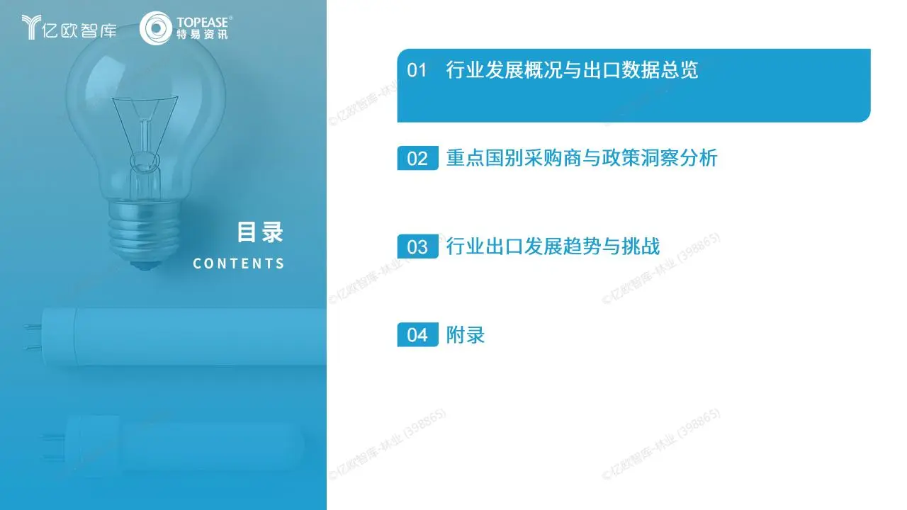 2025年中国照明行业出海国别机会洞察报告
