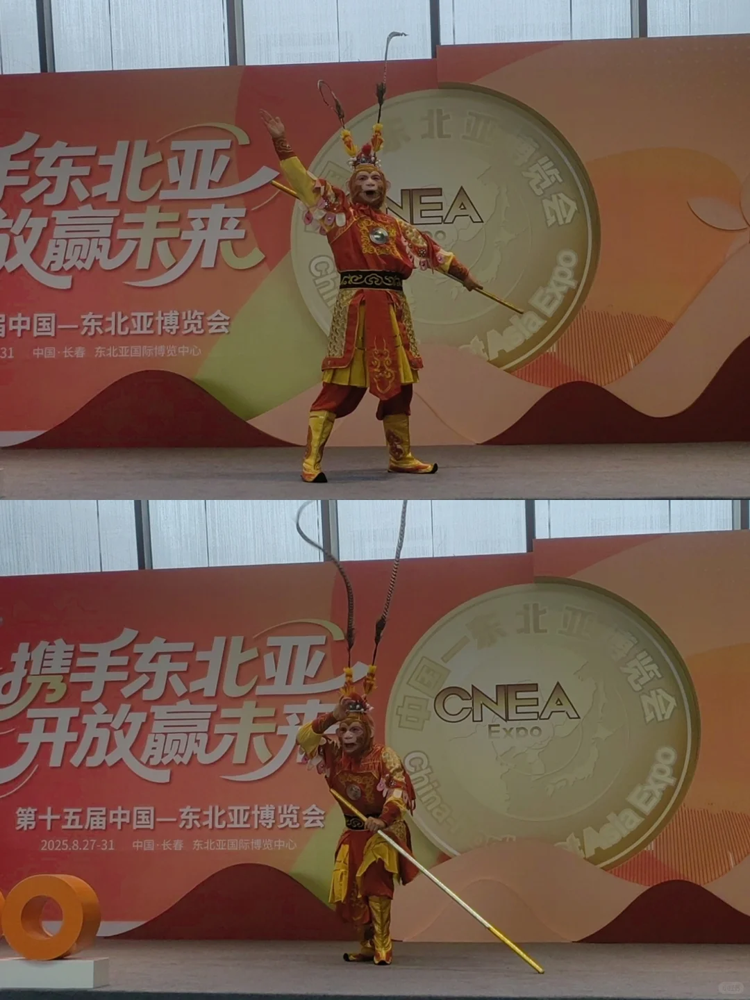 长春第十五届东北亚博览会～薅羊毛