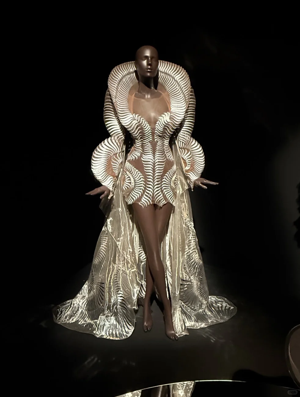 新加坡看展/ Iris van Herpen