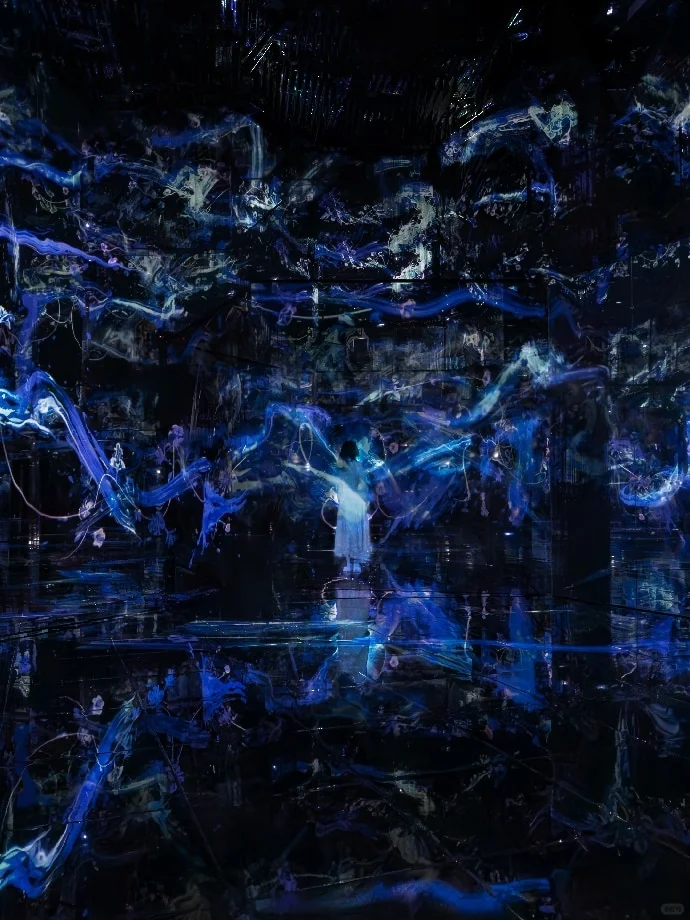 沙漠中的数字星辰 | teamLabPhenomena