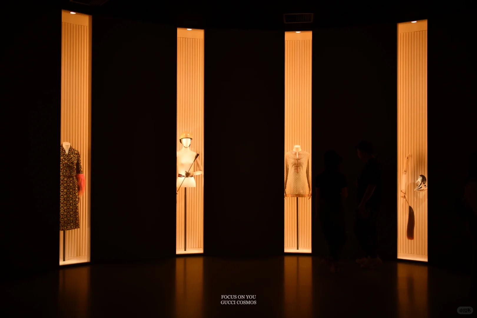 Gucci cosmos 寰宇古驰