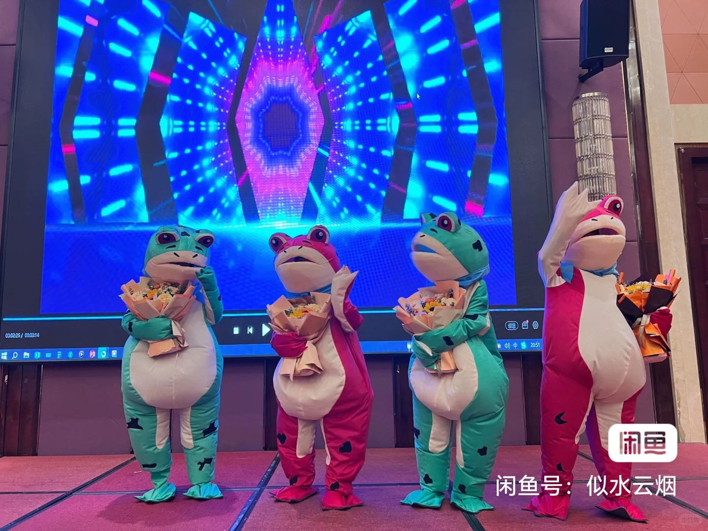 邯郸地区青蛙玩偶服出租