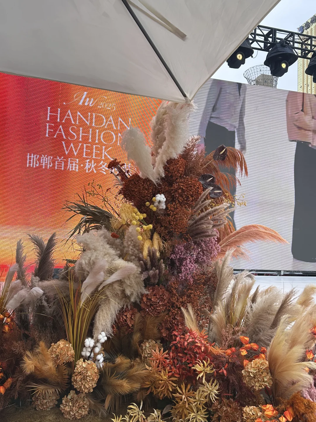 ?邯郸|一起来看秀哇?