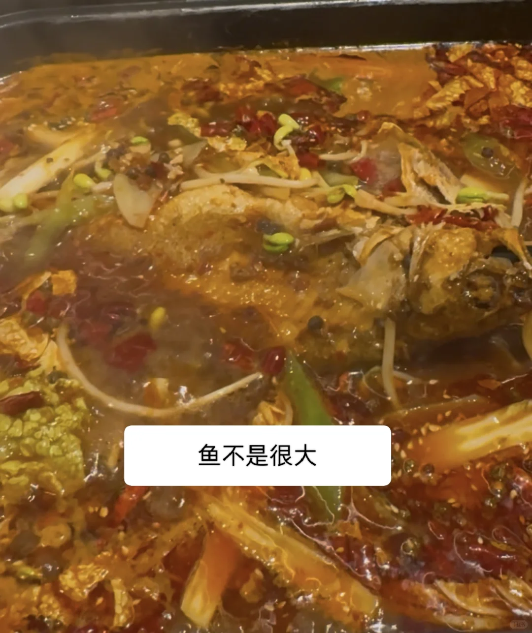 西安低价团购测评第 1 期:20 块的烤鱼