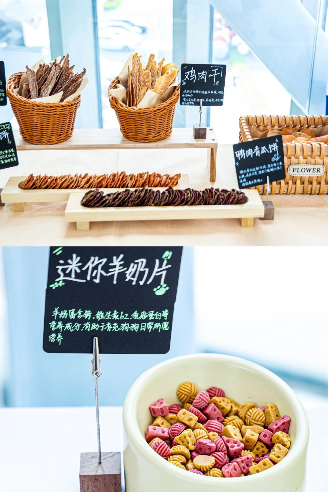 广州新展 充满“汪言汪语”的温暖展览