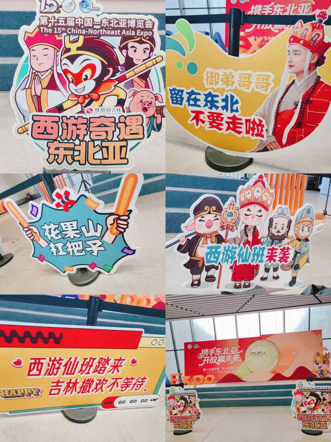长春第十五届东北亚博览会～薅羊毛