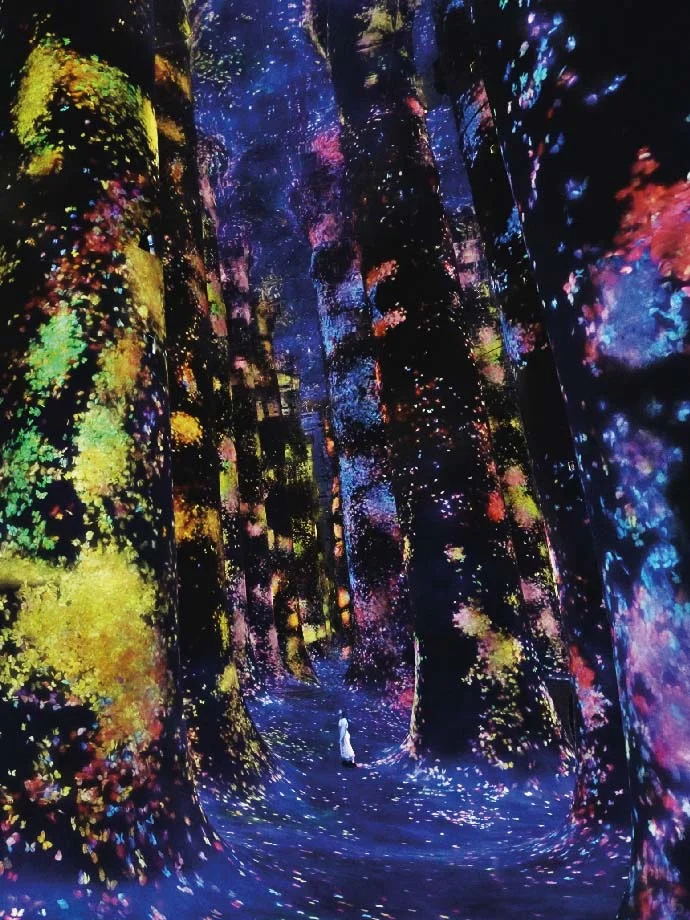 沙漠中的数字星辰 | teamLabPhenomena