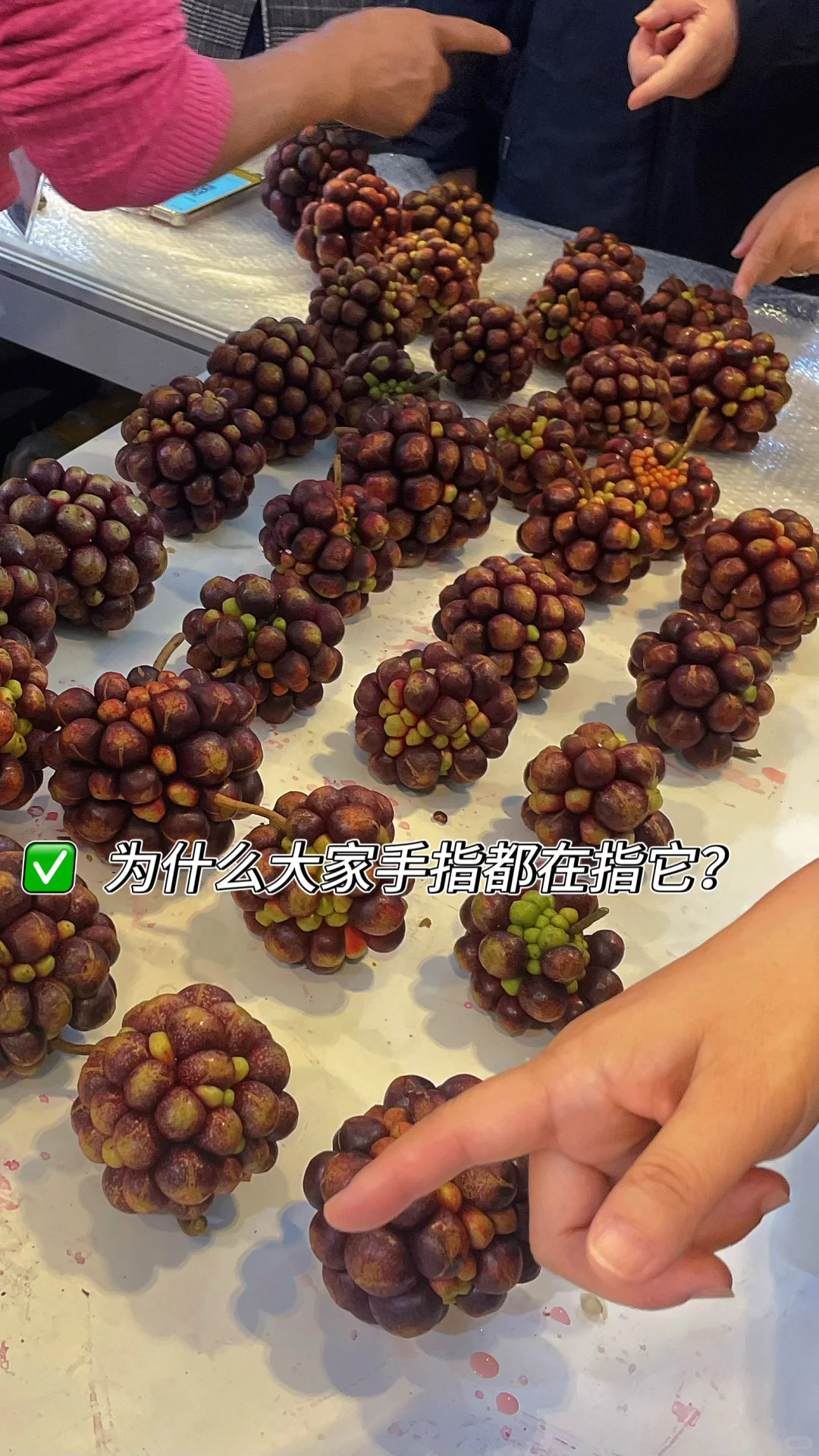 最后一天， 勇闯农交会?