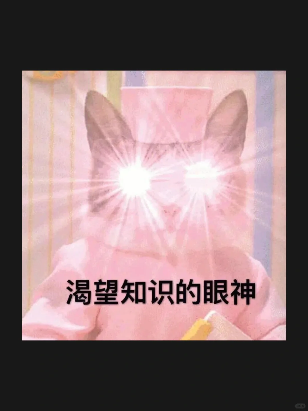 五月上海?工作记录|国际医疗学术论坛