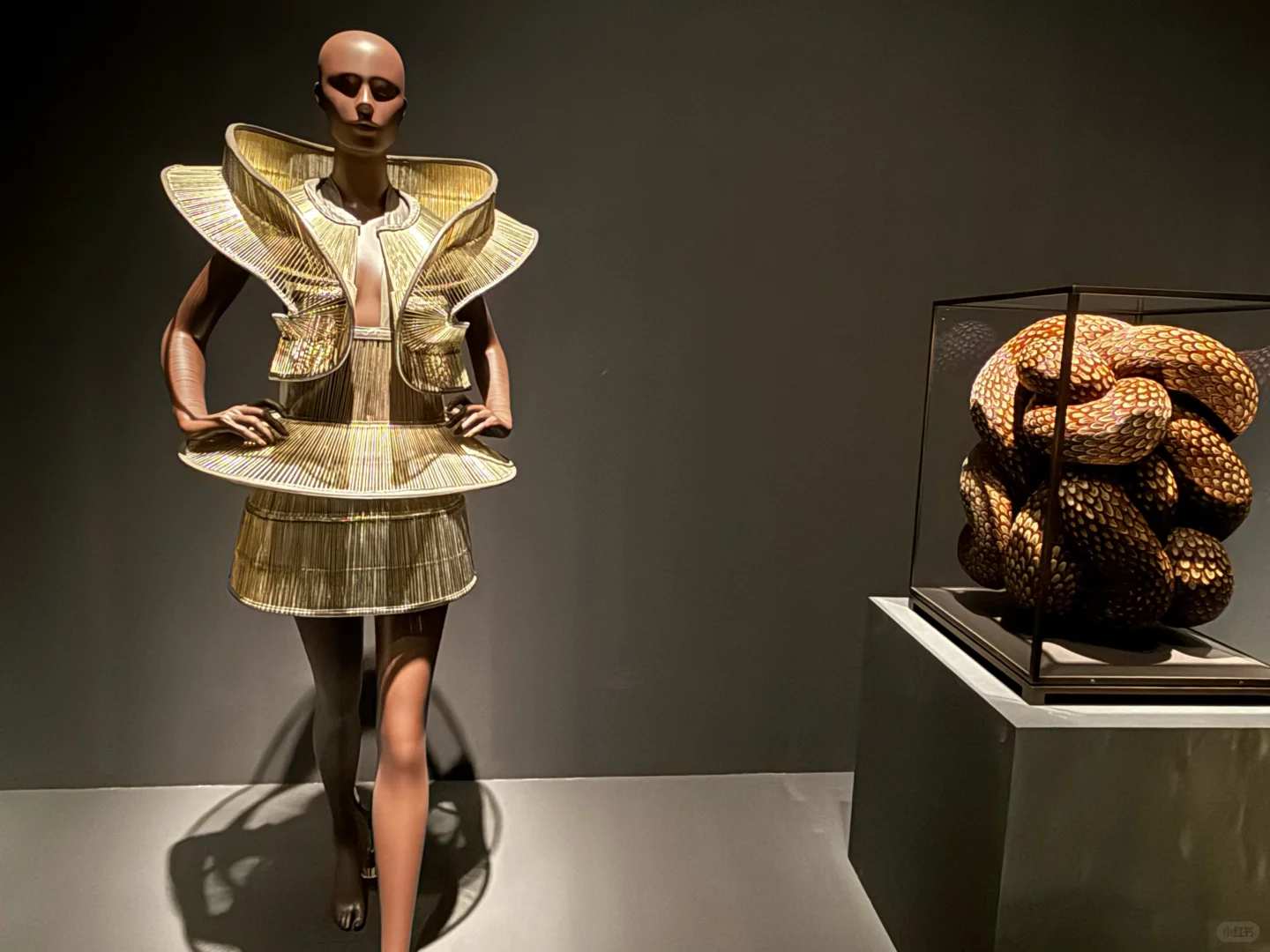 新加坡看展/ Iris van Herpen