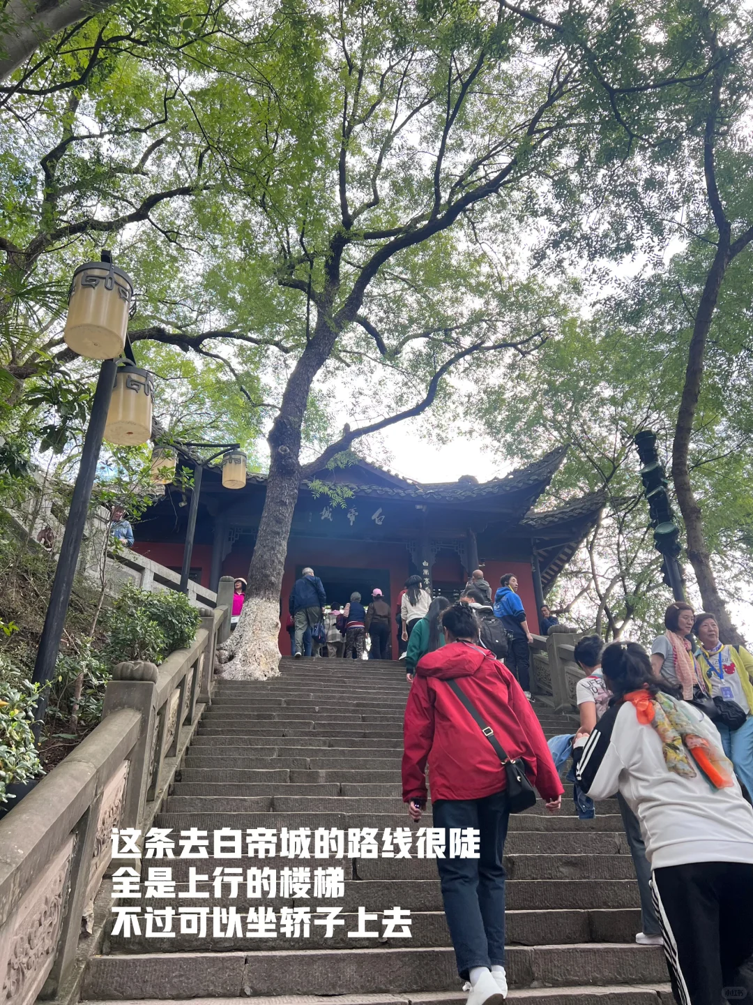 重庆到奉节三峡之巅白帝城瞿塘峡一日游攻略