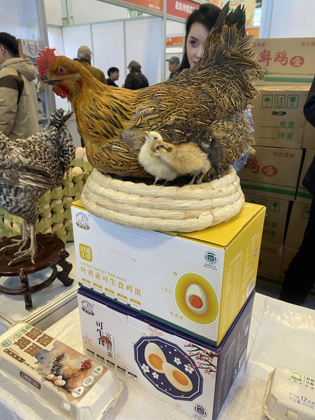天津农产品节