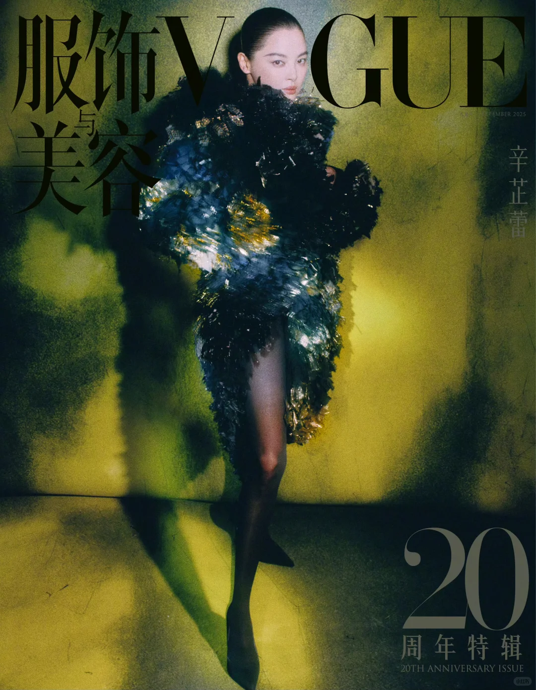 美丽联动VOGUE20周年与100周年
