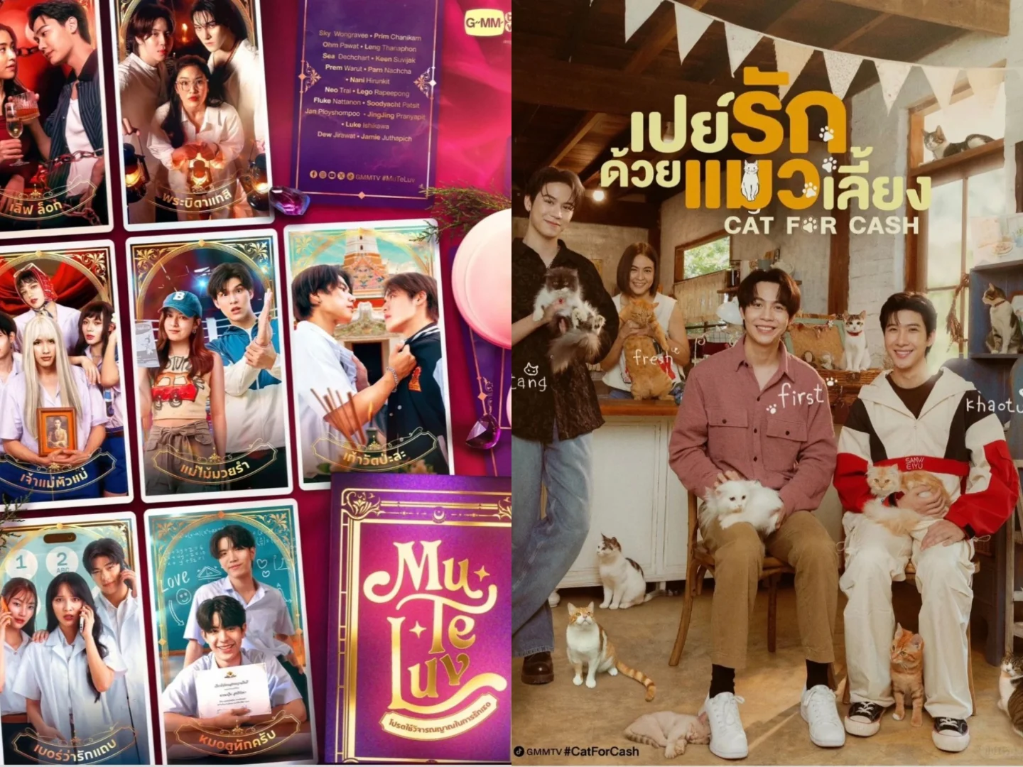 Gmm25年推介会剧总结