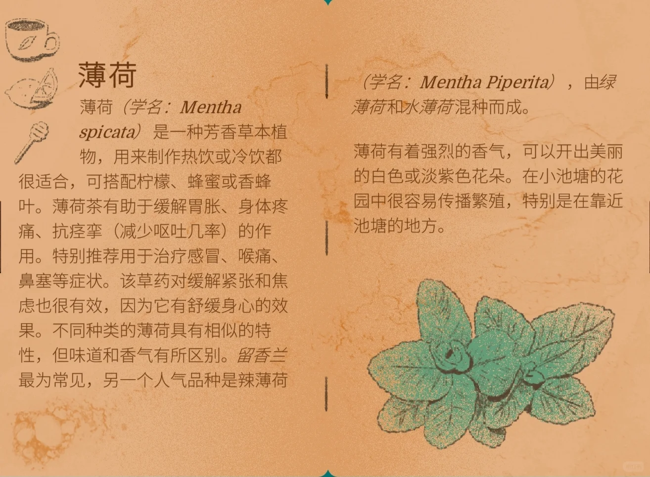 茶话会必需品！谁懂啊！?