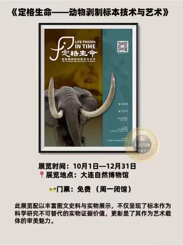 大连11月免费展览合集?25场艺术展✅博览会✅