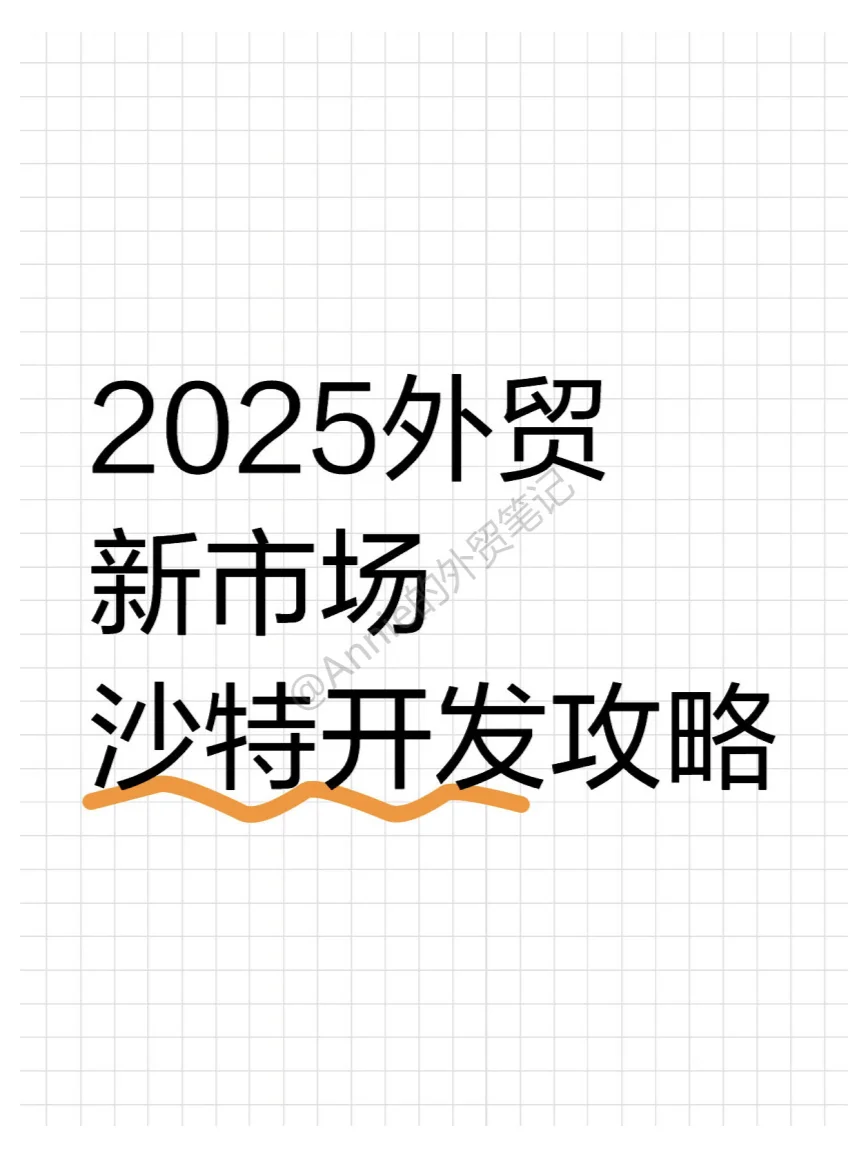 2025年外贸市场-沙特开发攻略