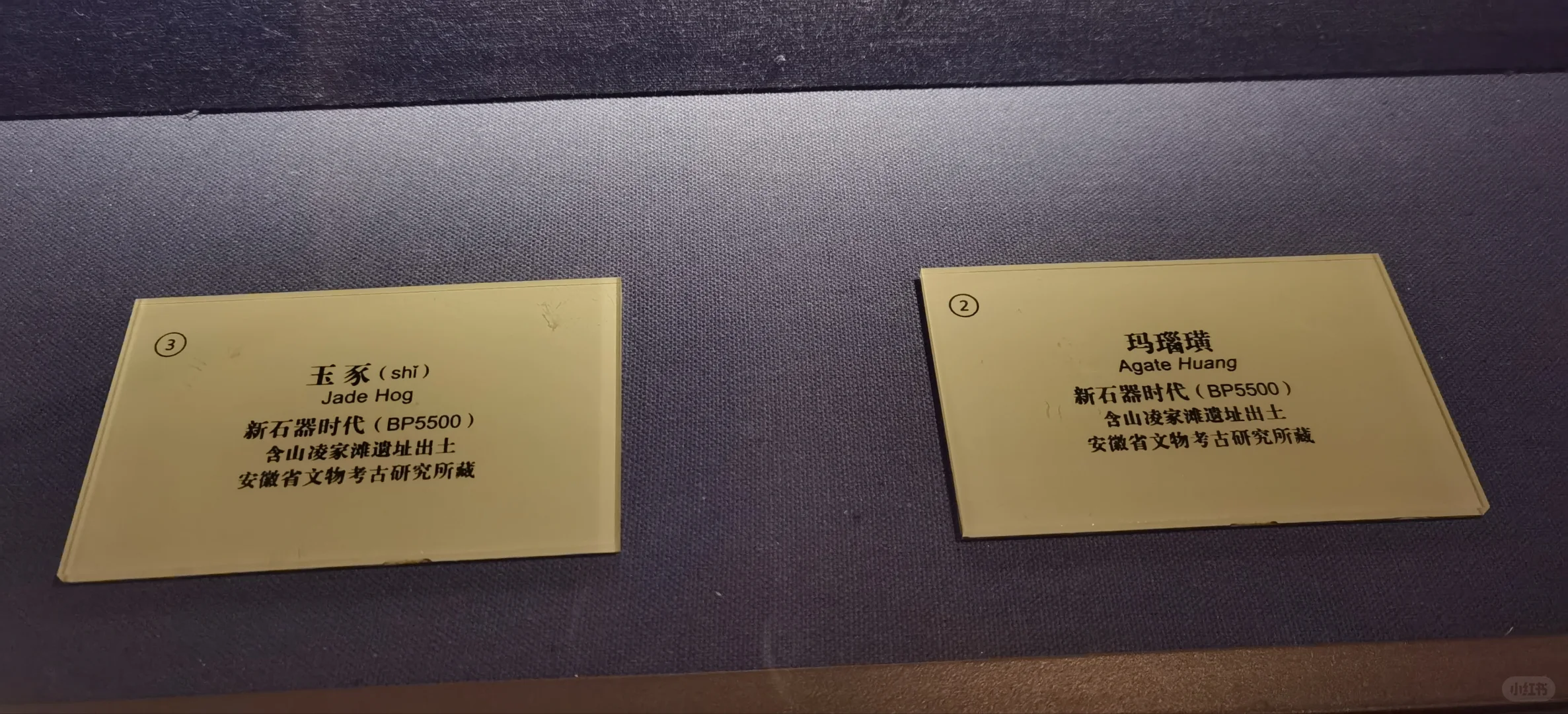 请文物专家来掌眼|博物院这个标签对吗?