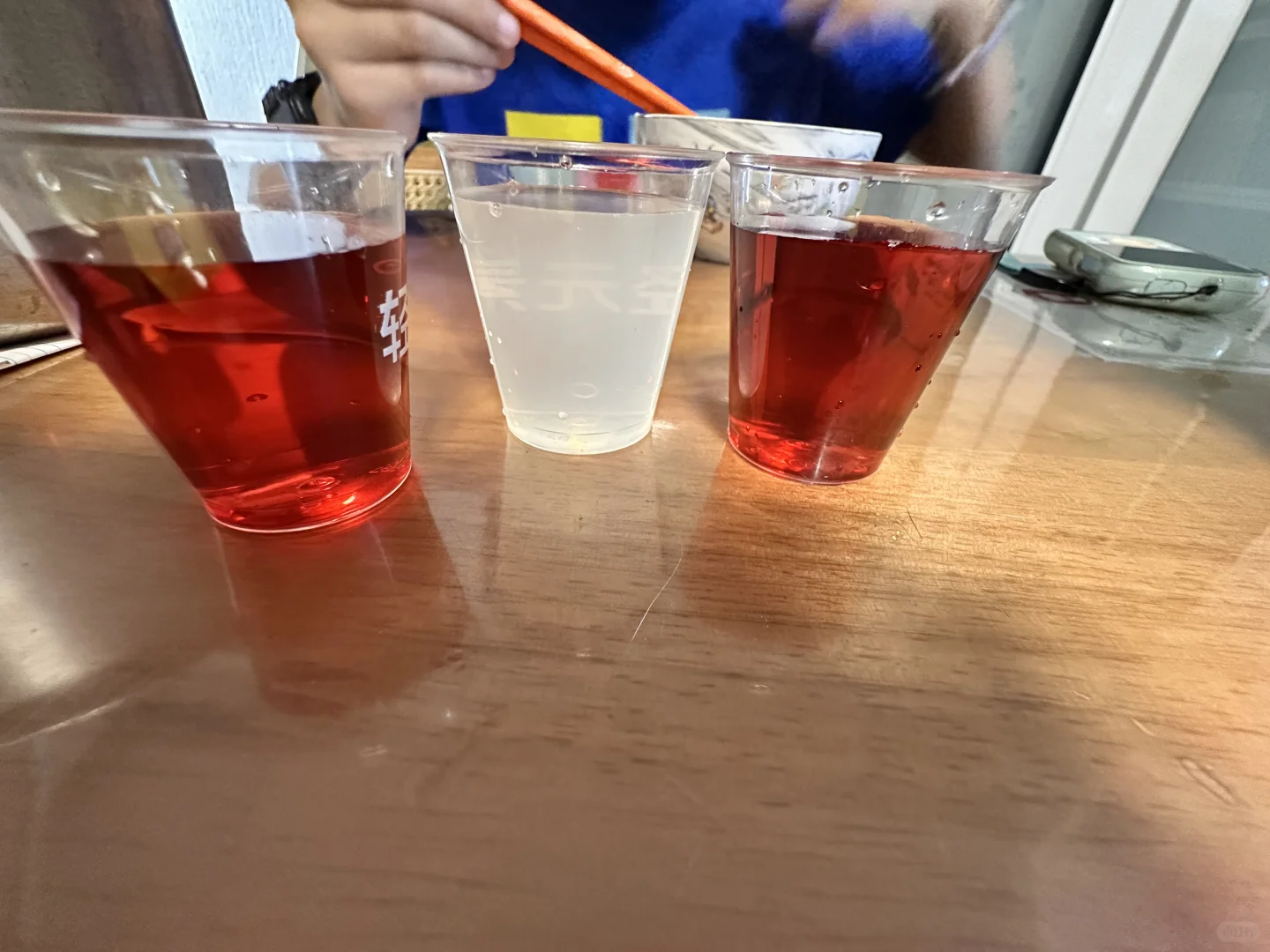 上海的全食展 第一天 小逛