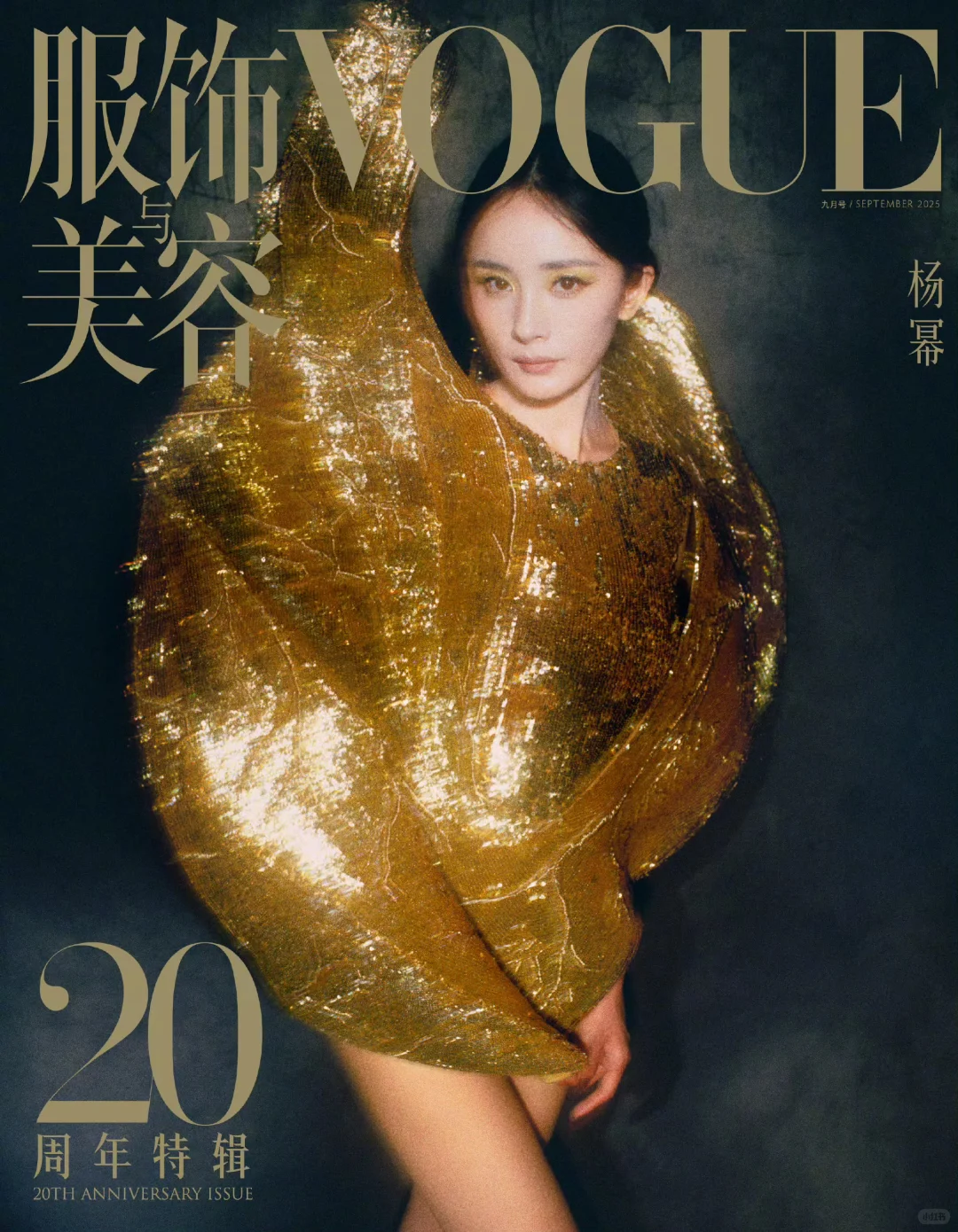 美丽联动VOGUE20周年与100周年