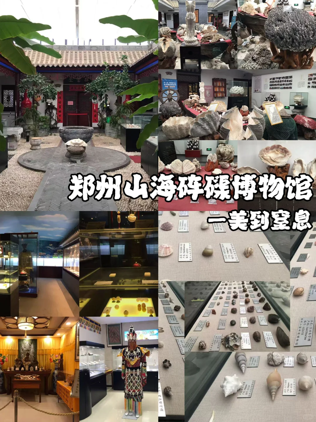 解锁郑州一个超冷门的宝藏地,郑州人嘴真严