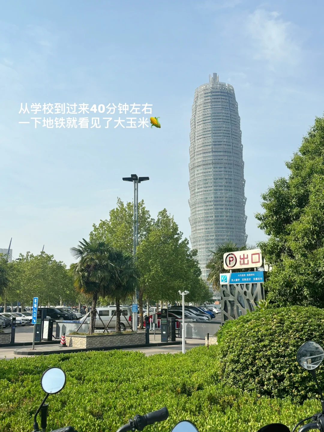 应届生｜周末充实且快乐都在干啥Plog