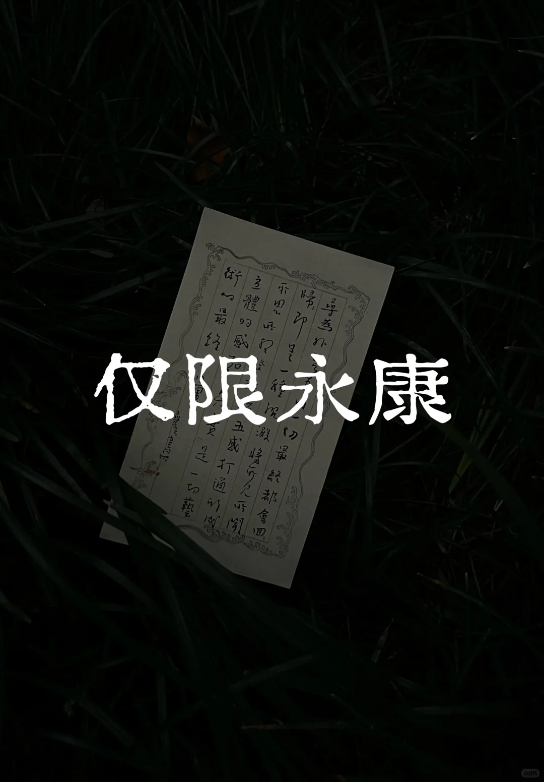 仅限永康