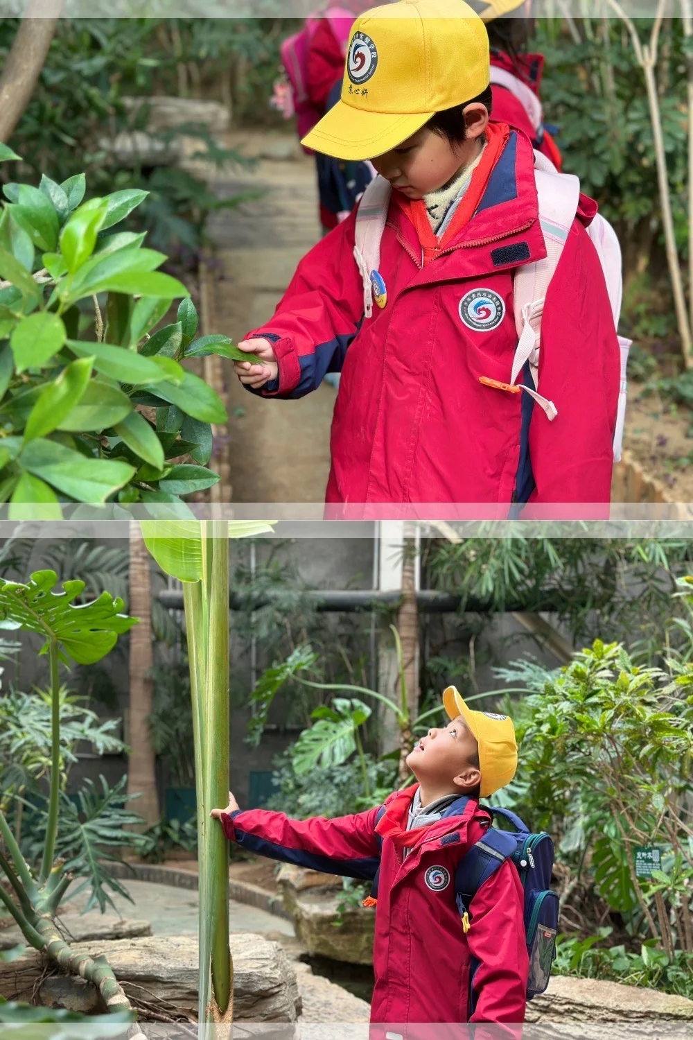 去户外 捡个秋?