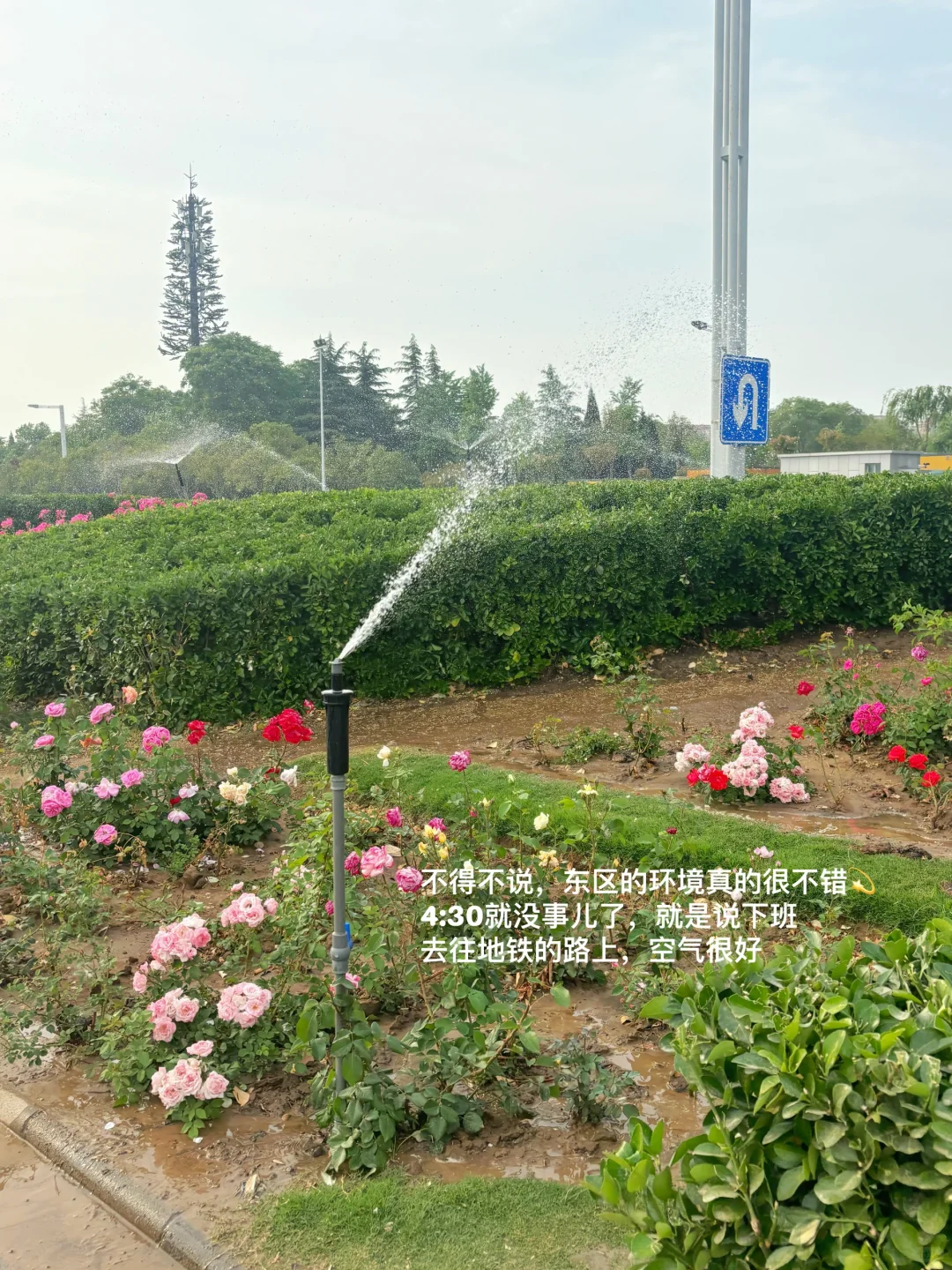 应届生｜周末充实且快乐都在干啥Plog