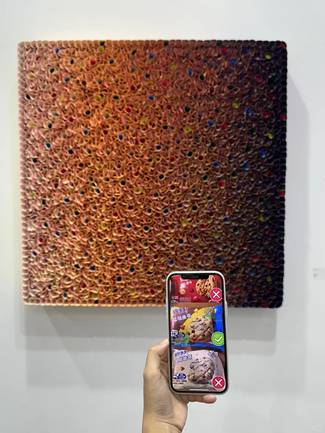 厦门新展|艺术厦门2025