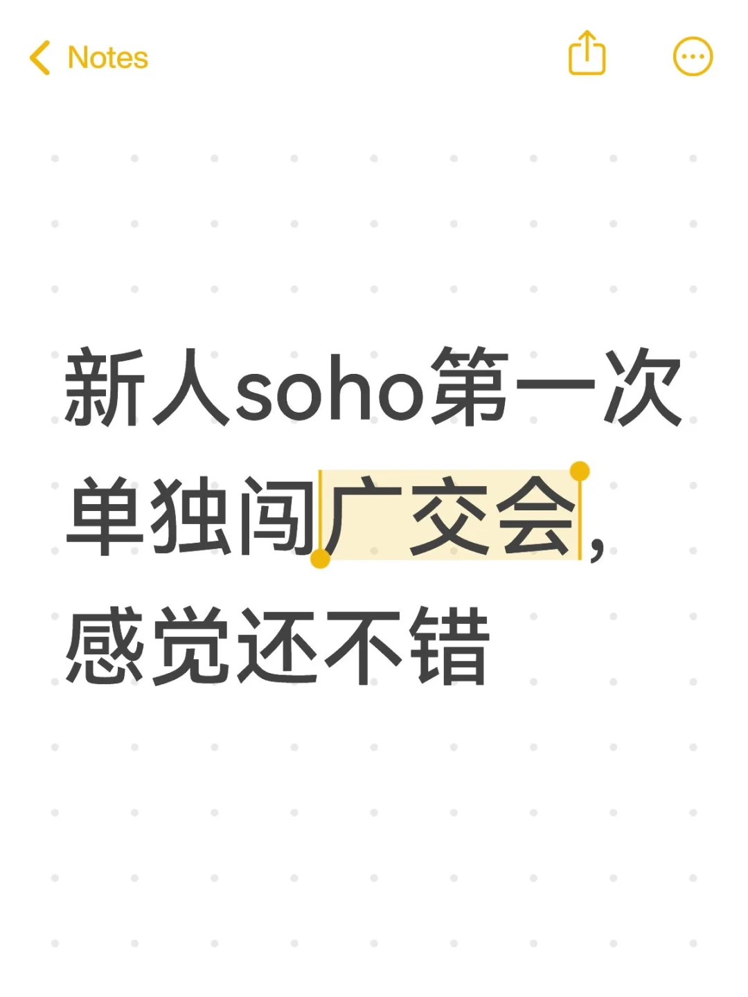 新人soho第一次独闯广交会,感觉还不错