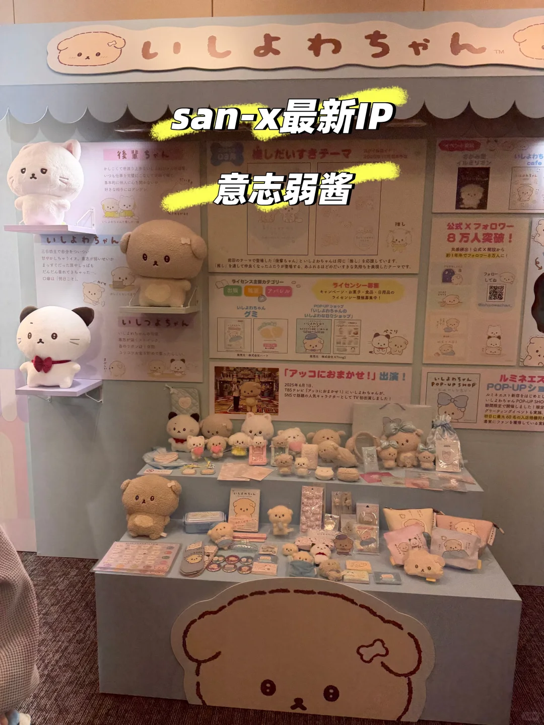 神仙工作被邀请来san-x内部展会！放新款细节