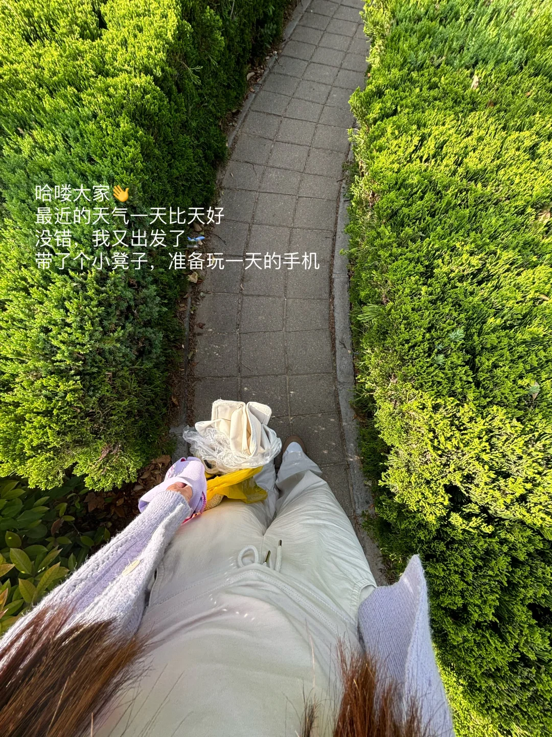 应届生｜周末充实且快乐都在干啥Plog